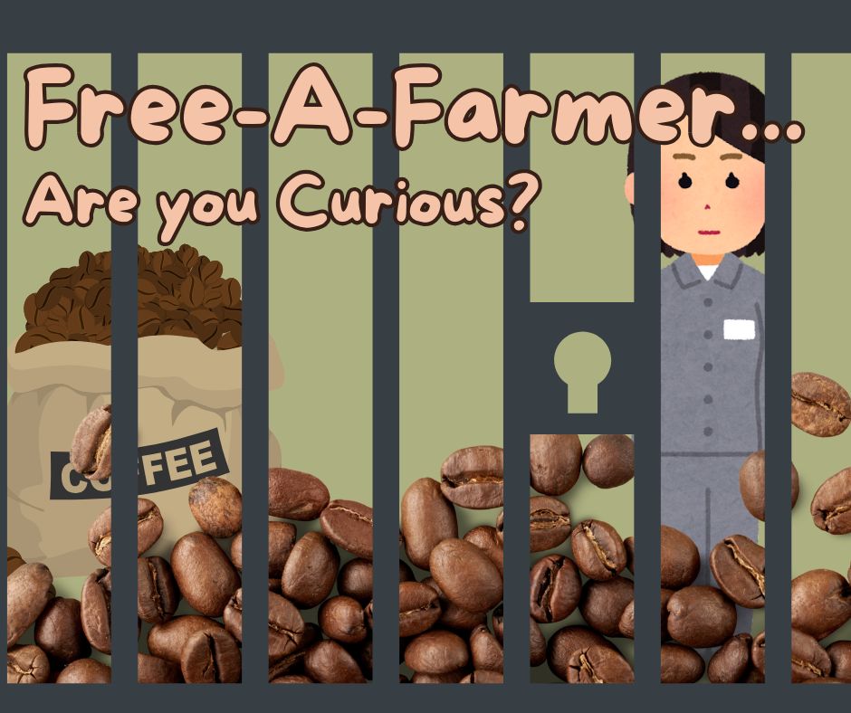 Are you Curious?